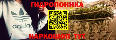 эйфоретик Новокубанск