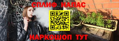 PSILOCYBIN Новодвинск