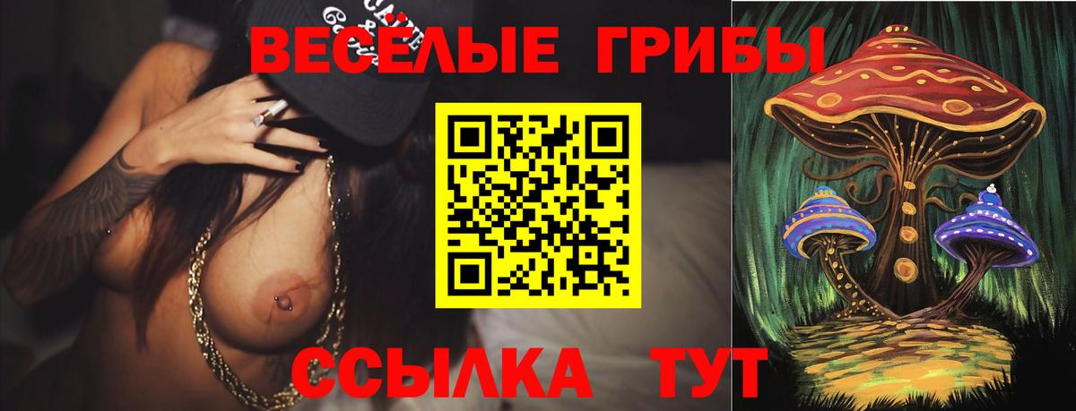 Псилоцибиновые грибы GOLDEN TEACHER  Вход с VPN  Сочи  Галлюциногенные грибы мицелий 