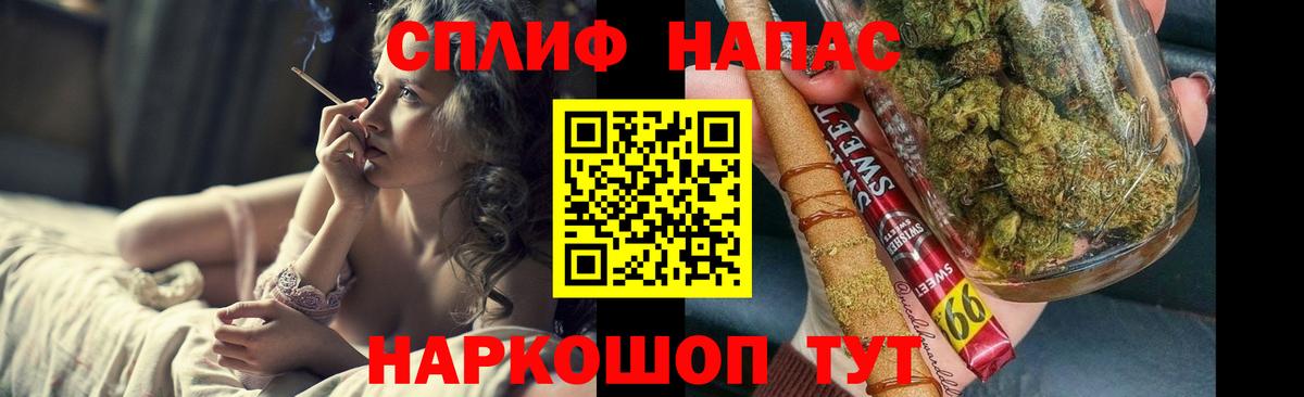 Канабис ГИДРОПОН Сочи